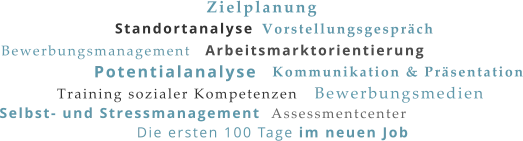 Standortanalyse Potentialanalyse Zielplanung Arbeitsmarktorientierung Bewerbungsmedien Bewerbungsmanagement Kommunikation & Präsentation Training sozialer Kompetenzen Vorstellungsgespräch Assessmentcenter Selbst- und Stressmanagement Die ersten 100 Tage im neuen Job