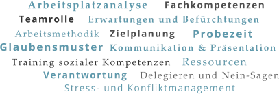 Teamrolle Glaubensmuster Arbeitsplatzanalyse Zielplanung Ressourcen Arbeitsmethodik Kommunikation & Präsentation Training sozialer Kompetenzen Erwartungen und Befürchtungen Delegieren und Nein-Sagen Verantwortung Stress- und Konfliktmanagement Fachkompetenzen Probezeit